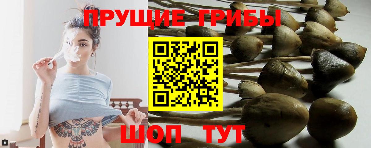 Ржев  Псилоцибиновые грибы Cubensis  магазин продажи   Псилоцибиновые грибы Cubensis  Вход с VPN 